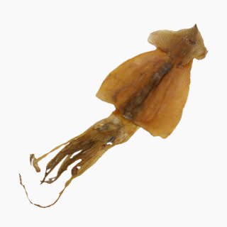 Squid, Processed product (surume)