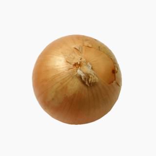 Onion (bulb, leached in water)