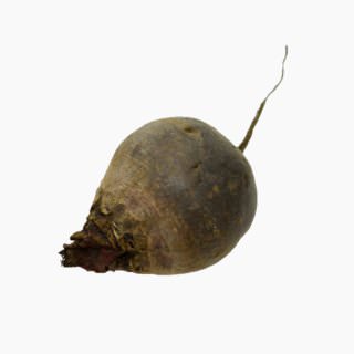 Table beet (root, boiled)