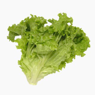 Leaf lettuce (leaves, raw)