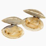 Hard clam (baked)