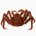 King crab (boiled)