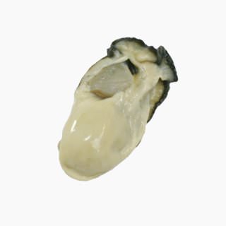 Oyster (cultured, raw)