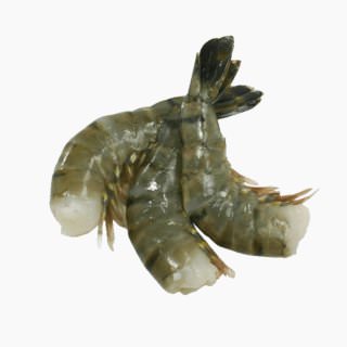 Giant tiger shrimp (cultured, raw)