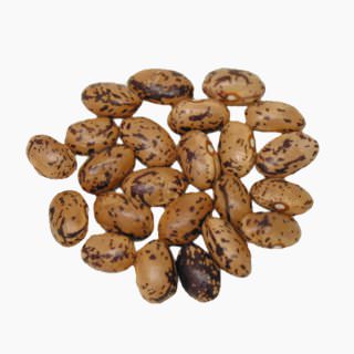 Kidney bean (uzura-mame)