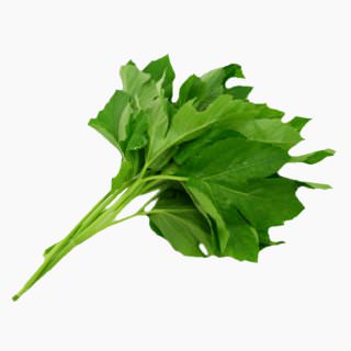 Ashitaba (stems and leaves, boiled)