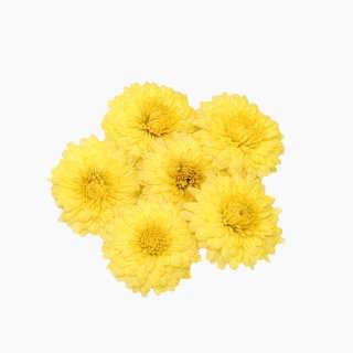 Chrysanthemum (petals, raw)