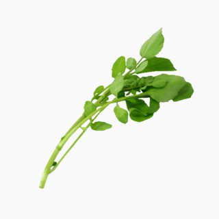 Watercress (stems and leaves, raw)