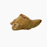 Anglerfish (liver, raw)