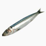 Big-eye sardine (raw)
