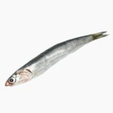 Japanese anchovy (raw)