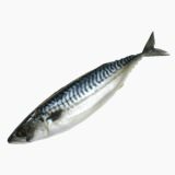 Mackerel, Processed product (shiosaba)