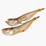 Sandfish (namaboshi)