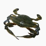 Blue crab (raw)