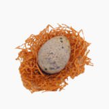 Japanese quail's egg (whole, raw)