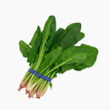 Spinach (leaves, raw)