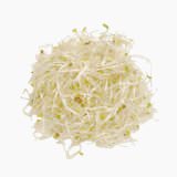 Alfalfa sprout (raw)