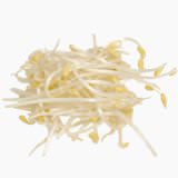 Soybean sprout (raw)