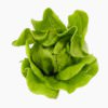 Head lettuce, butter type (leaves, raw)