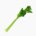Celery (petiole, raw)